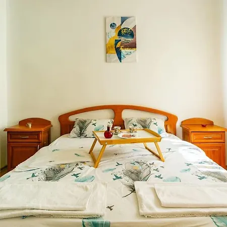 Spacious On Vitosha Boulevard Апартаменты *