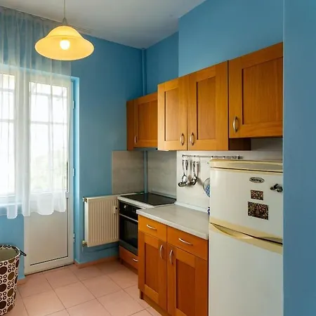 Spacious On Vitosha Boulevard Sofia