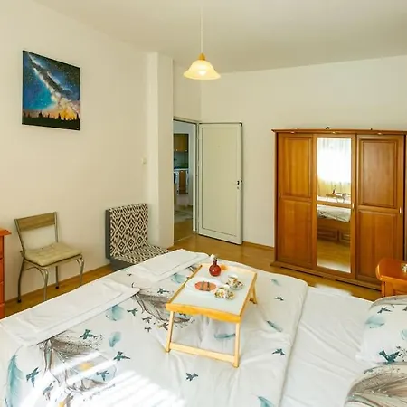 Spacious On Vitosha Boulevard Апартаменты